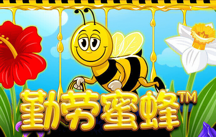 bd体育官网登录