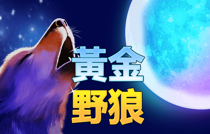 6163银河游戏